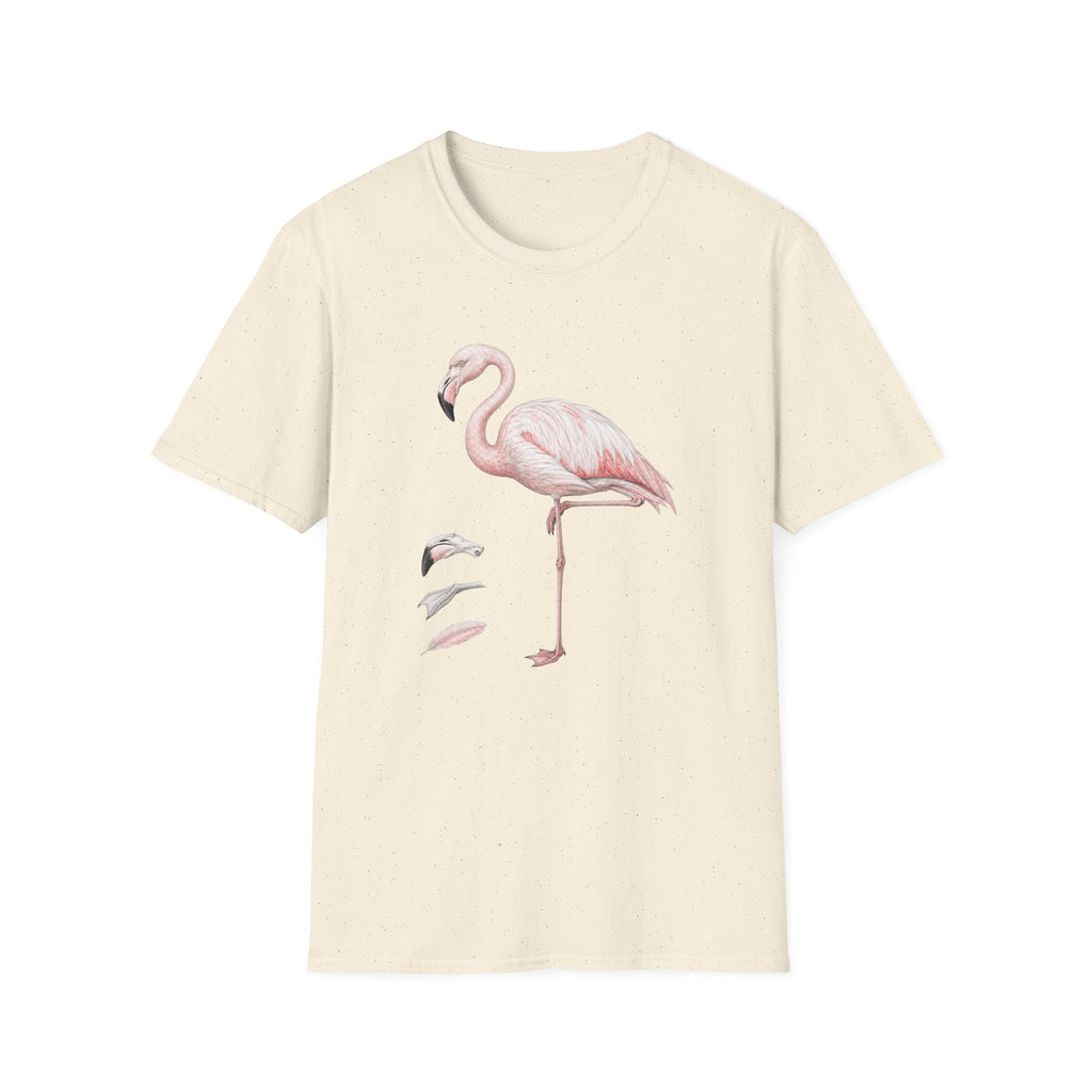Flamingo Anatomy