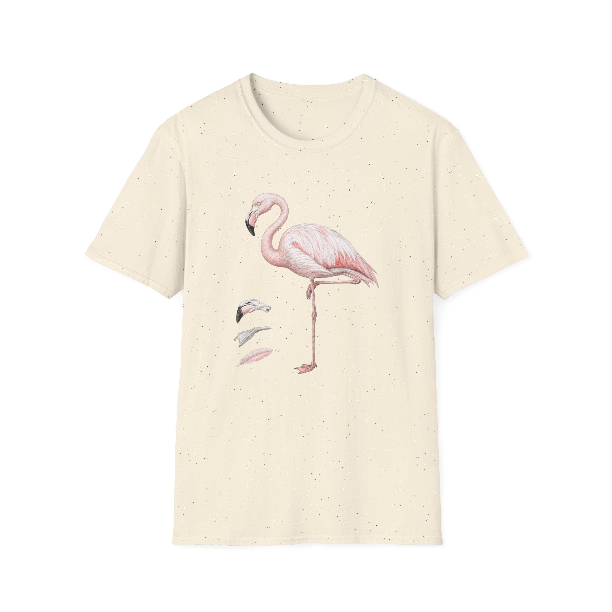 Flamingo Anatomy
