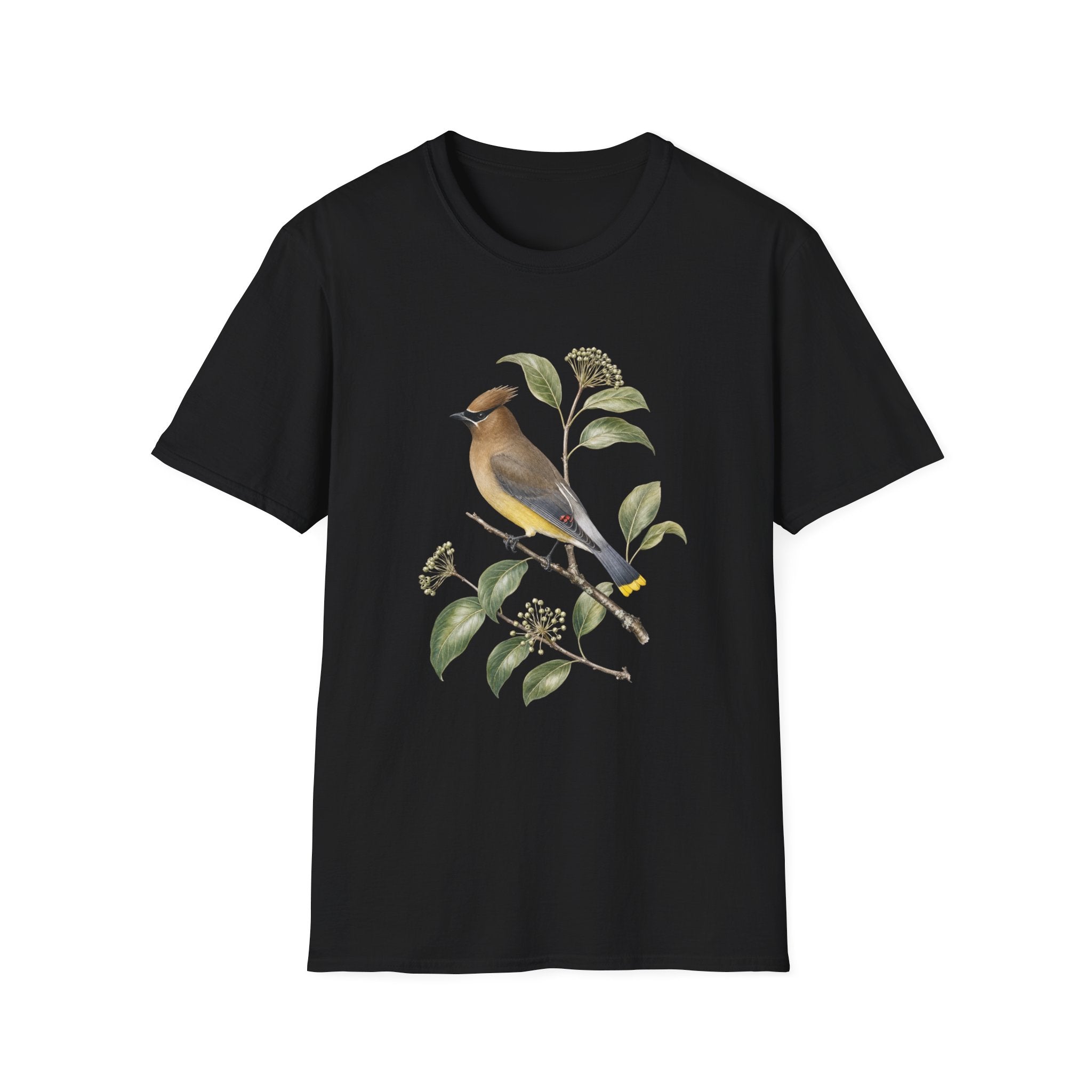 Little Birdie