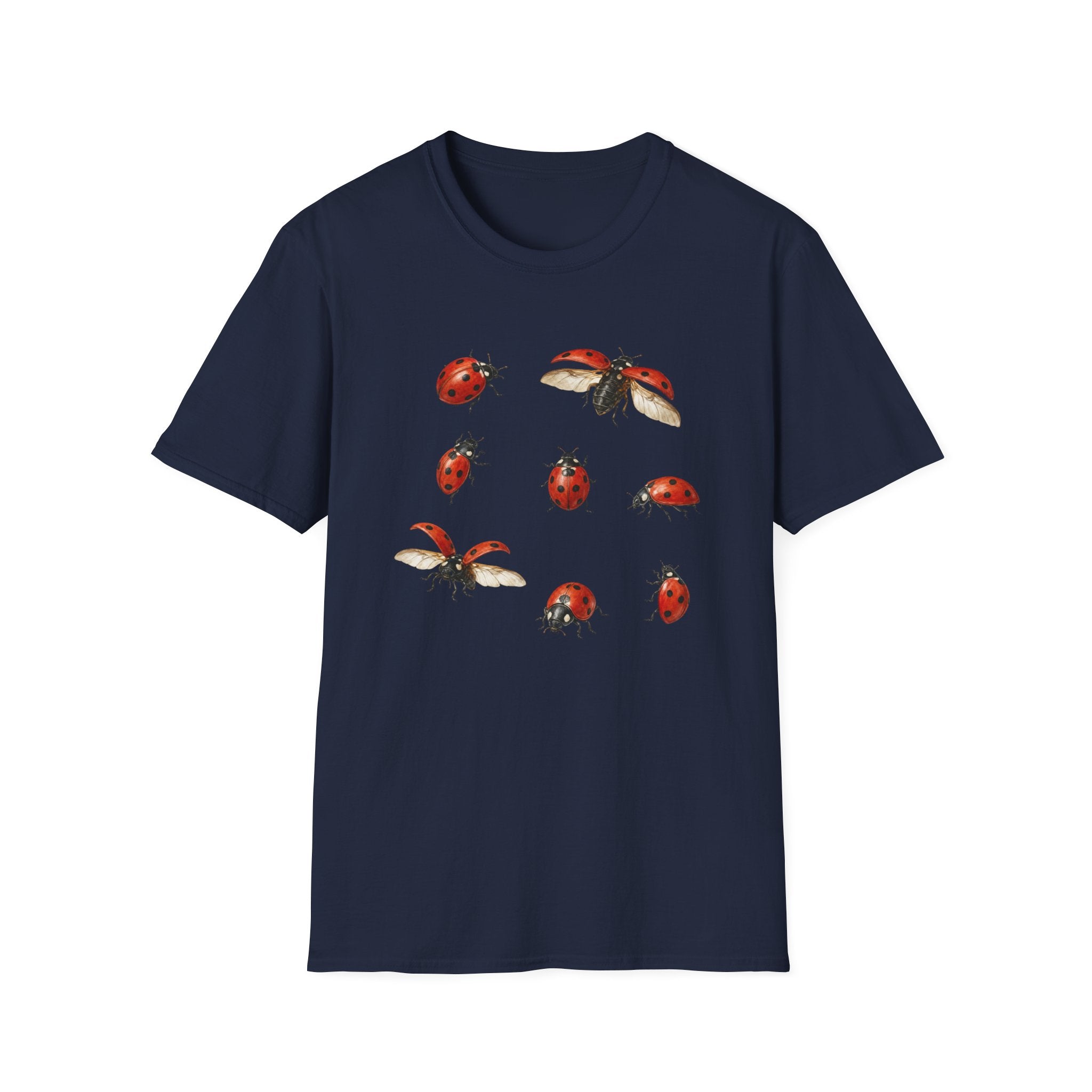 Ladybug Party