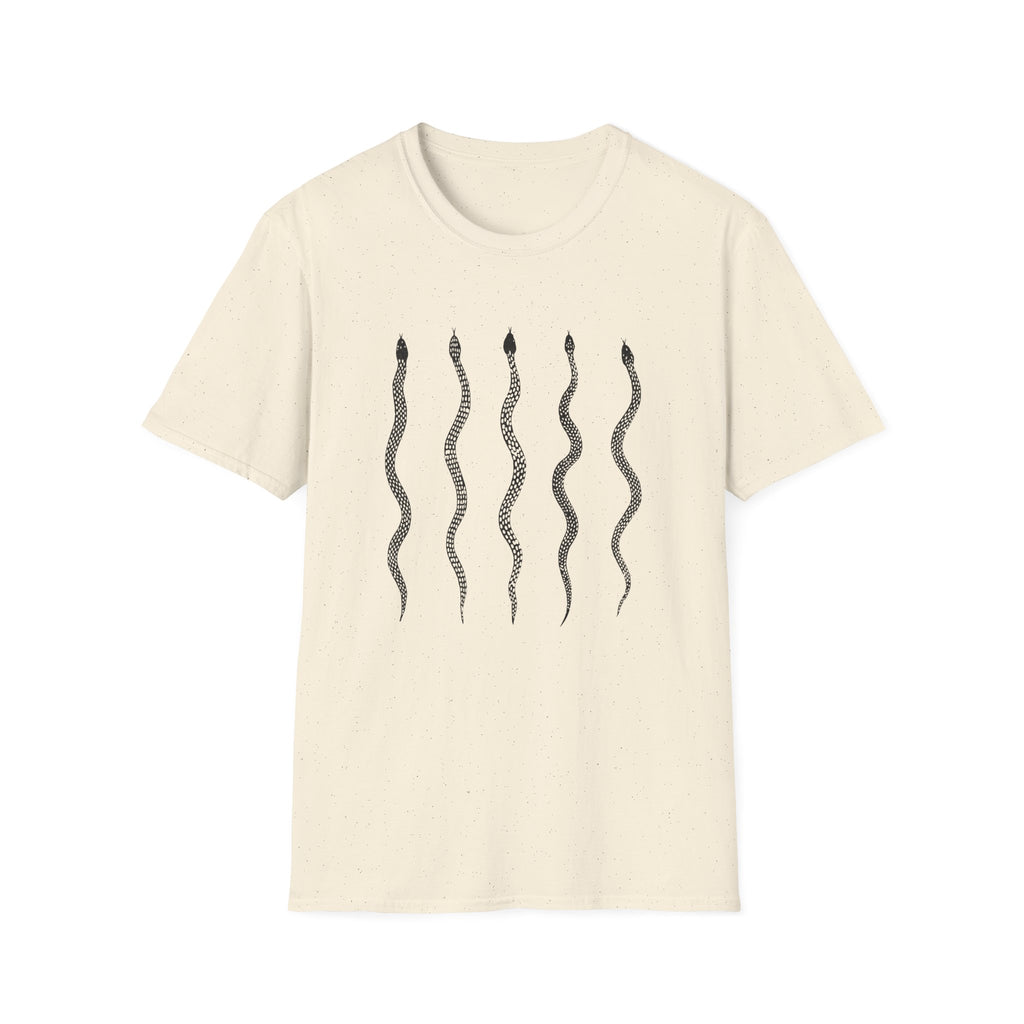 Snake Array