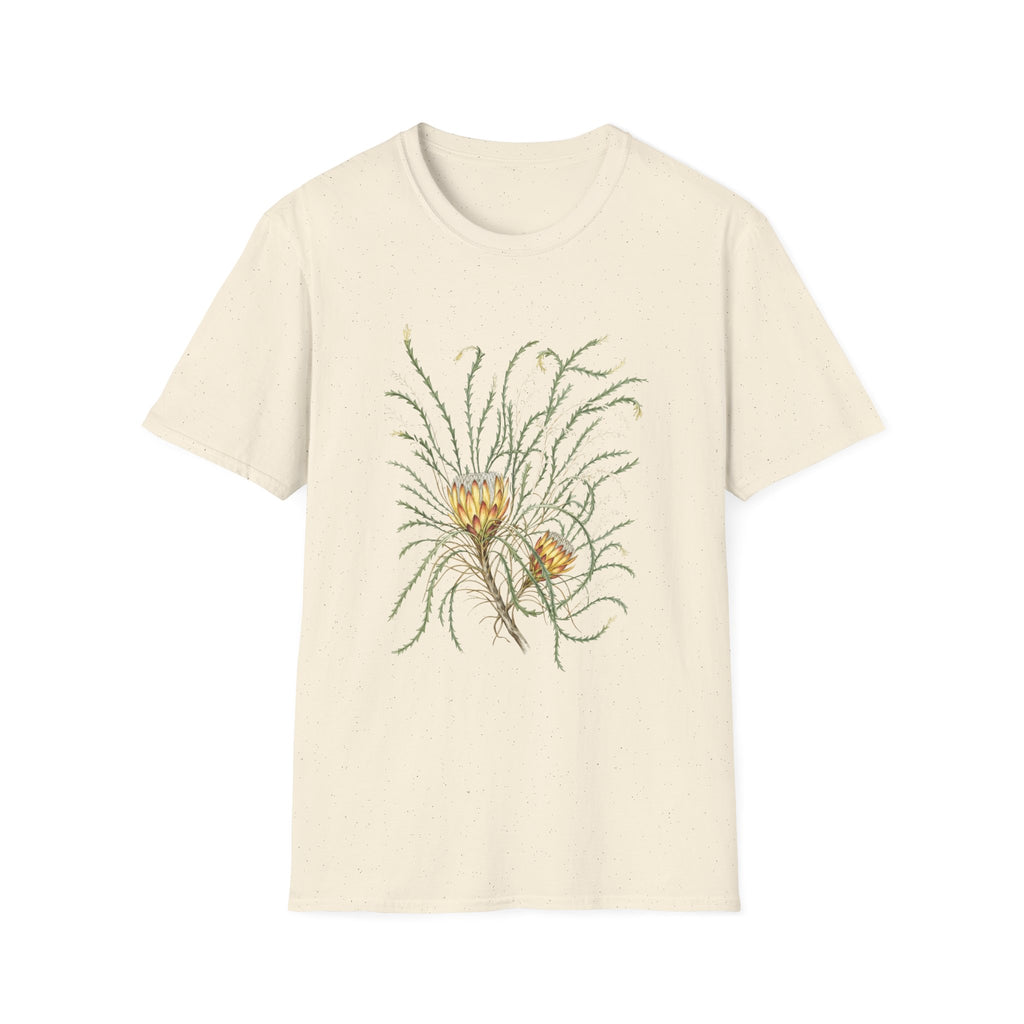Field Protea