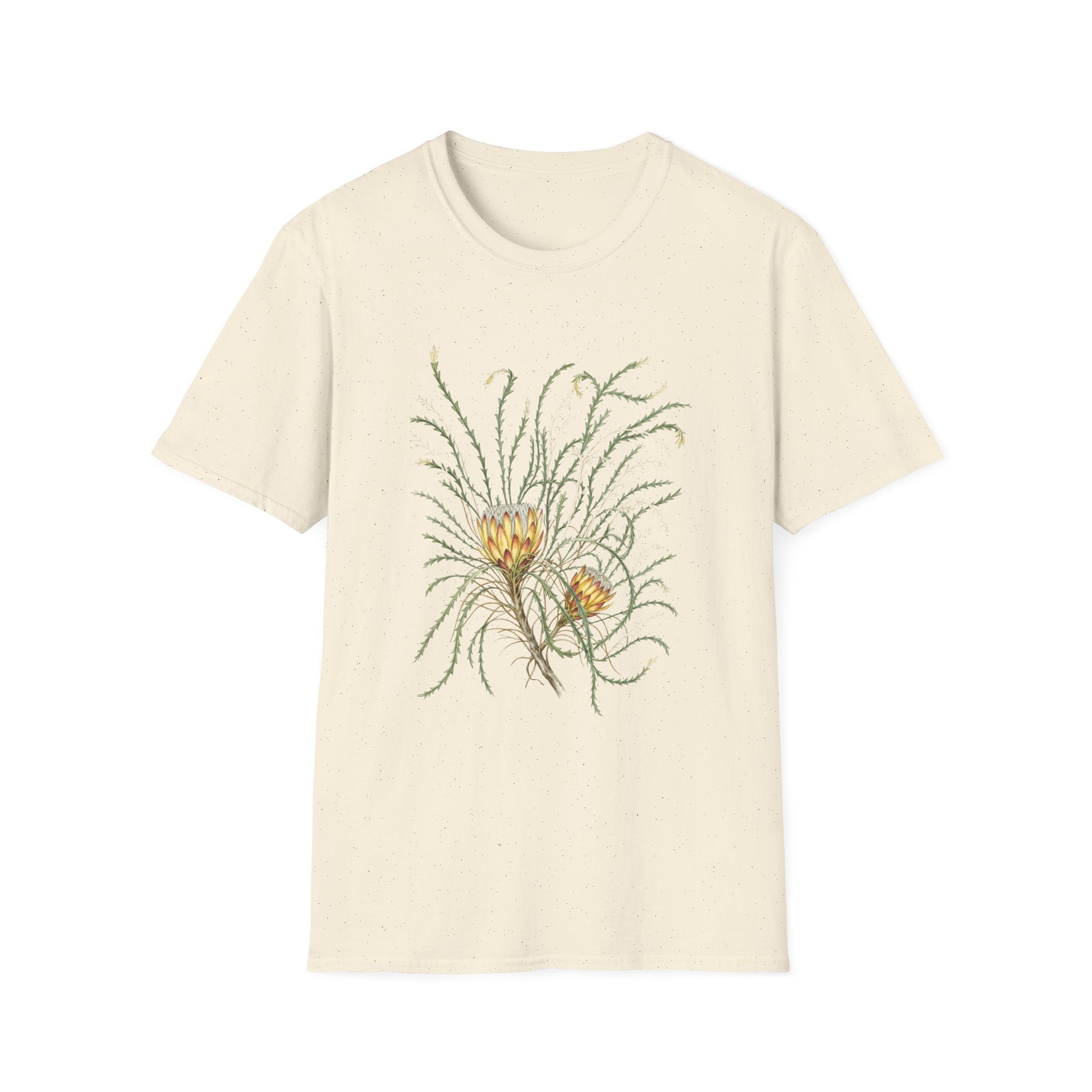 Field Protea