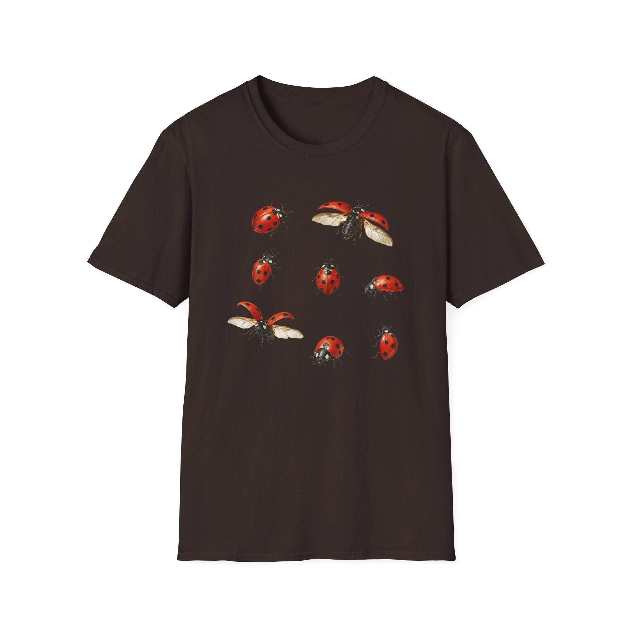 Ladybug Party