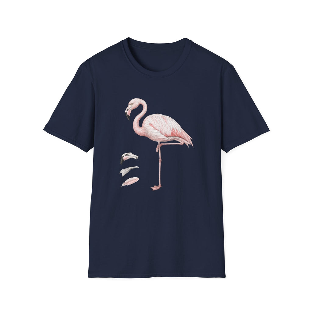 Flamingo Anatomy