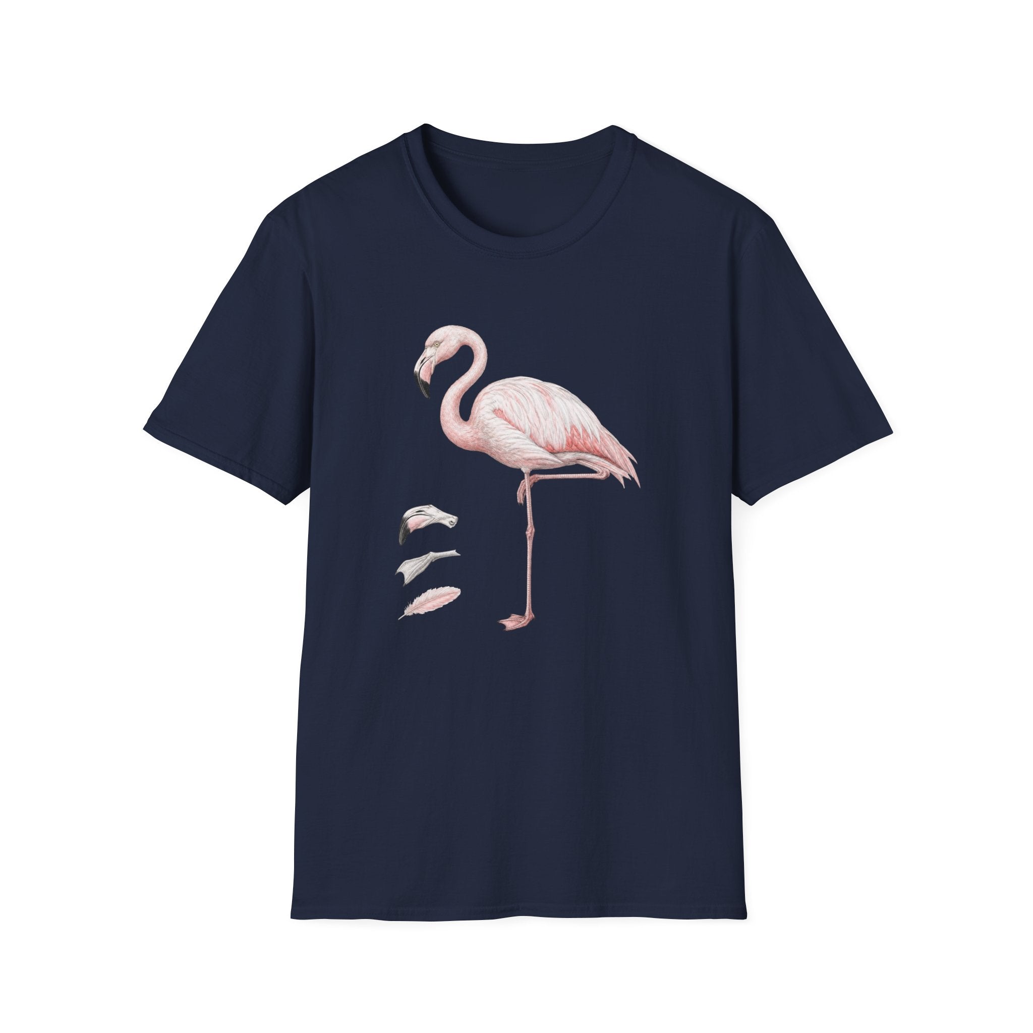 Flamingo Anatomy