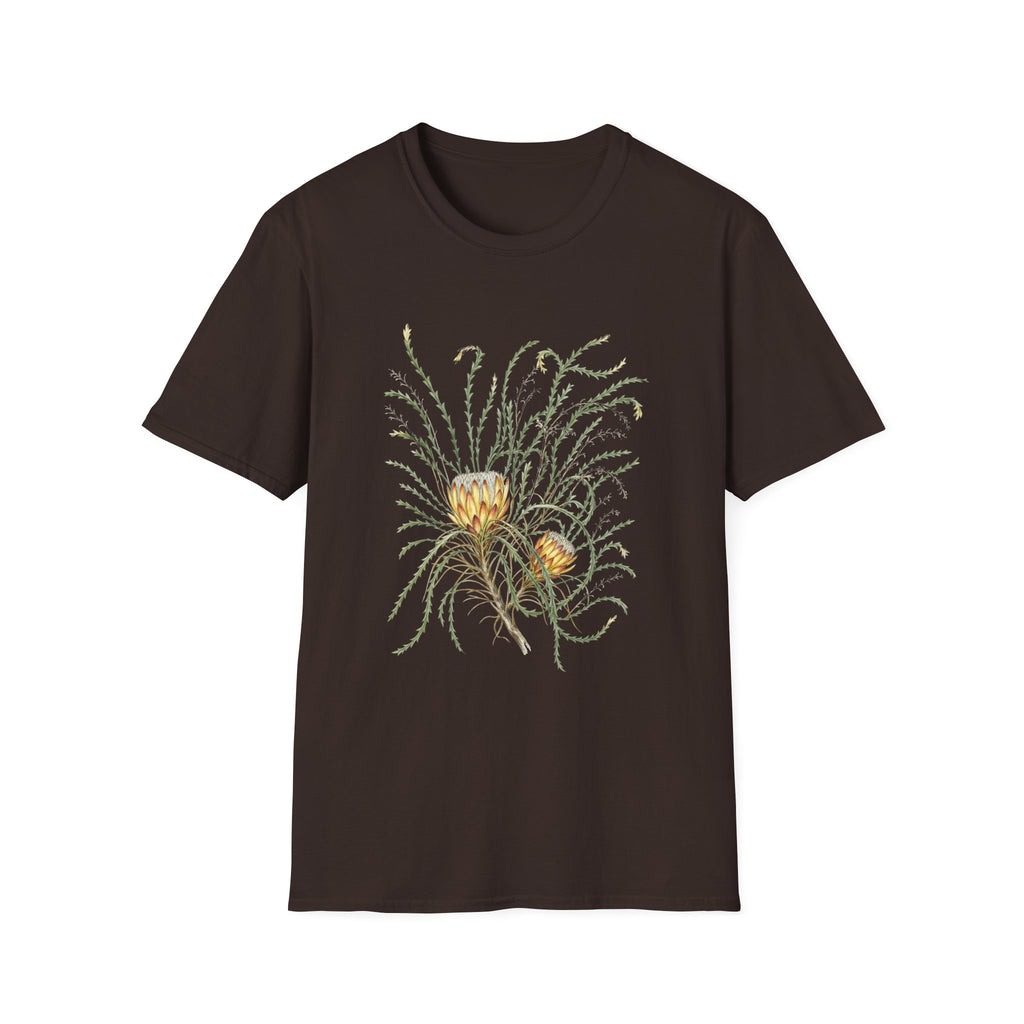 Field Protea