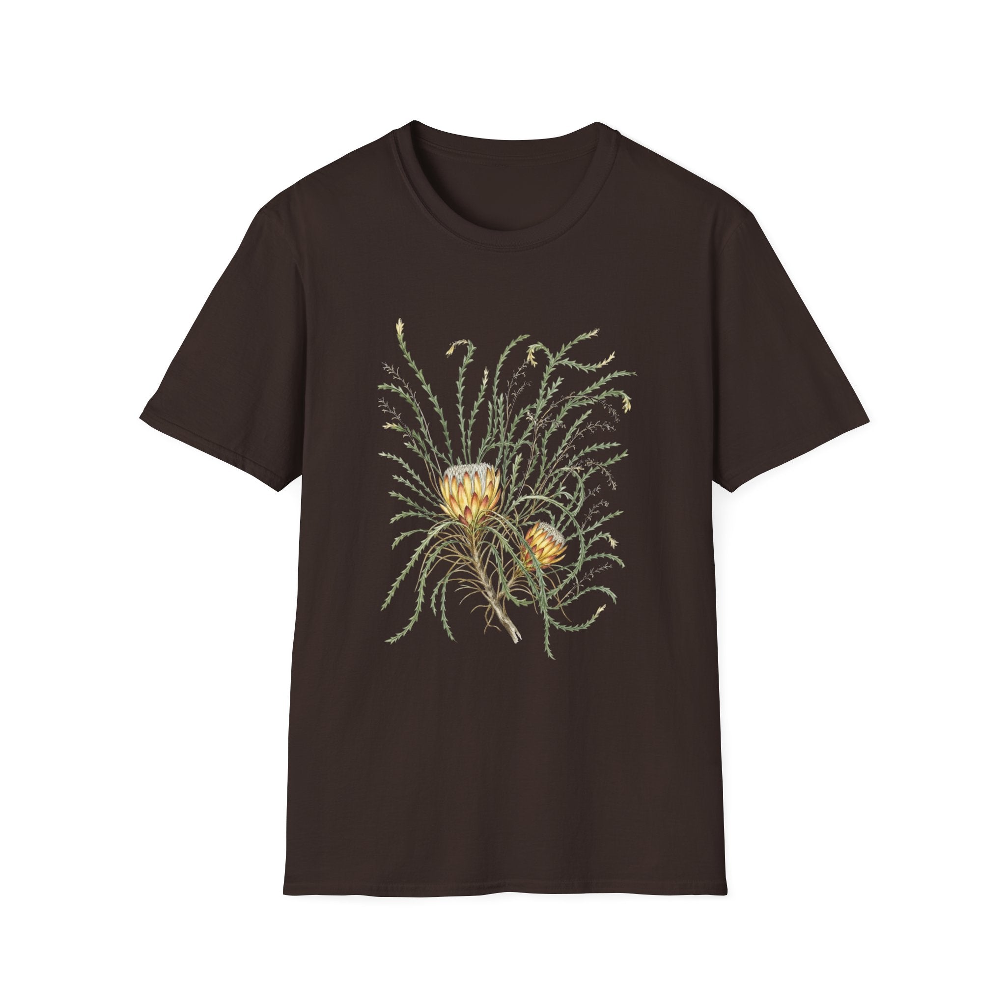 Field Protea