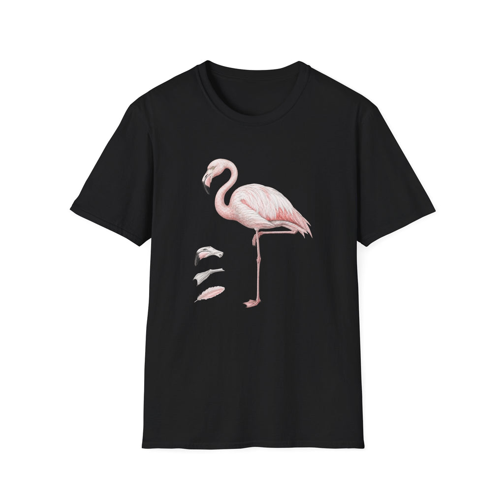 Flamingo Anatomy