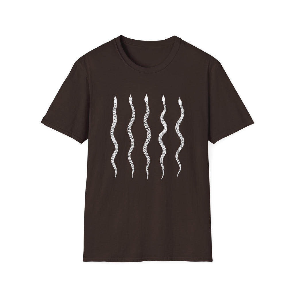 Snake Array