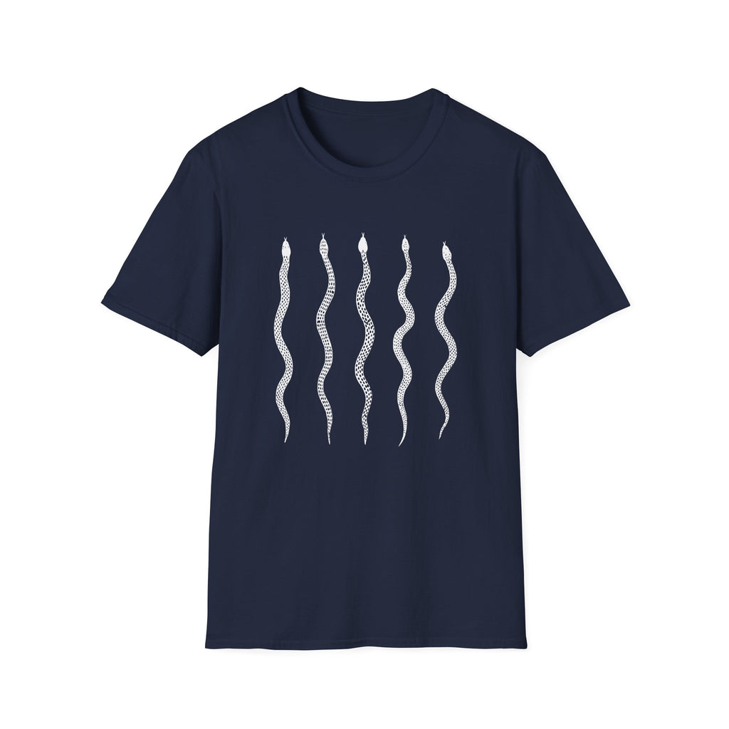 Snake Array