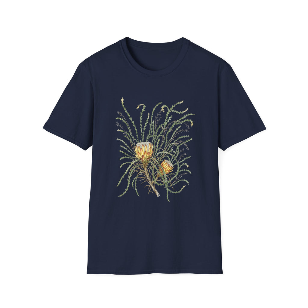 Field Protea
