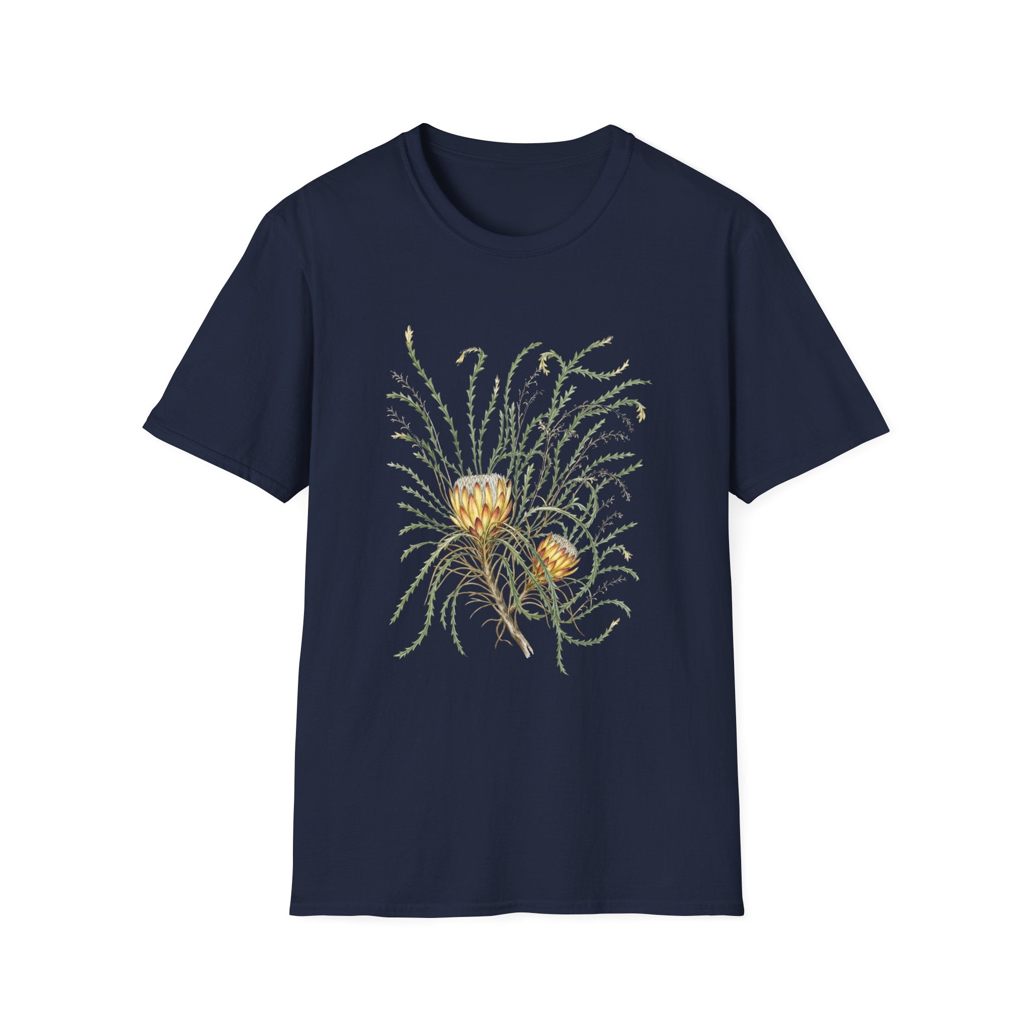 Field Protea