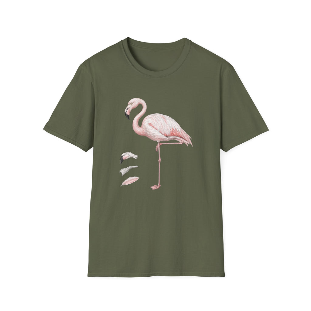 Flamingo Anatomy