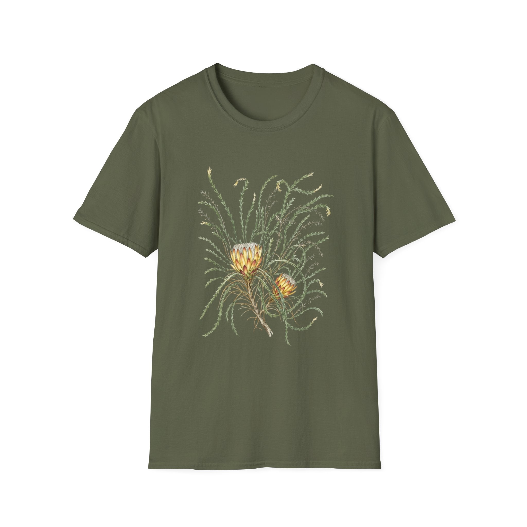 Field Protea