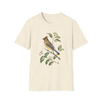 Little Birdie