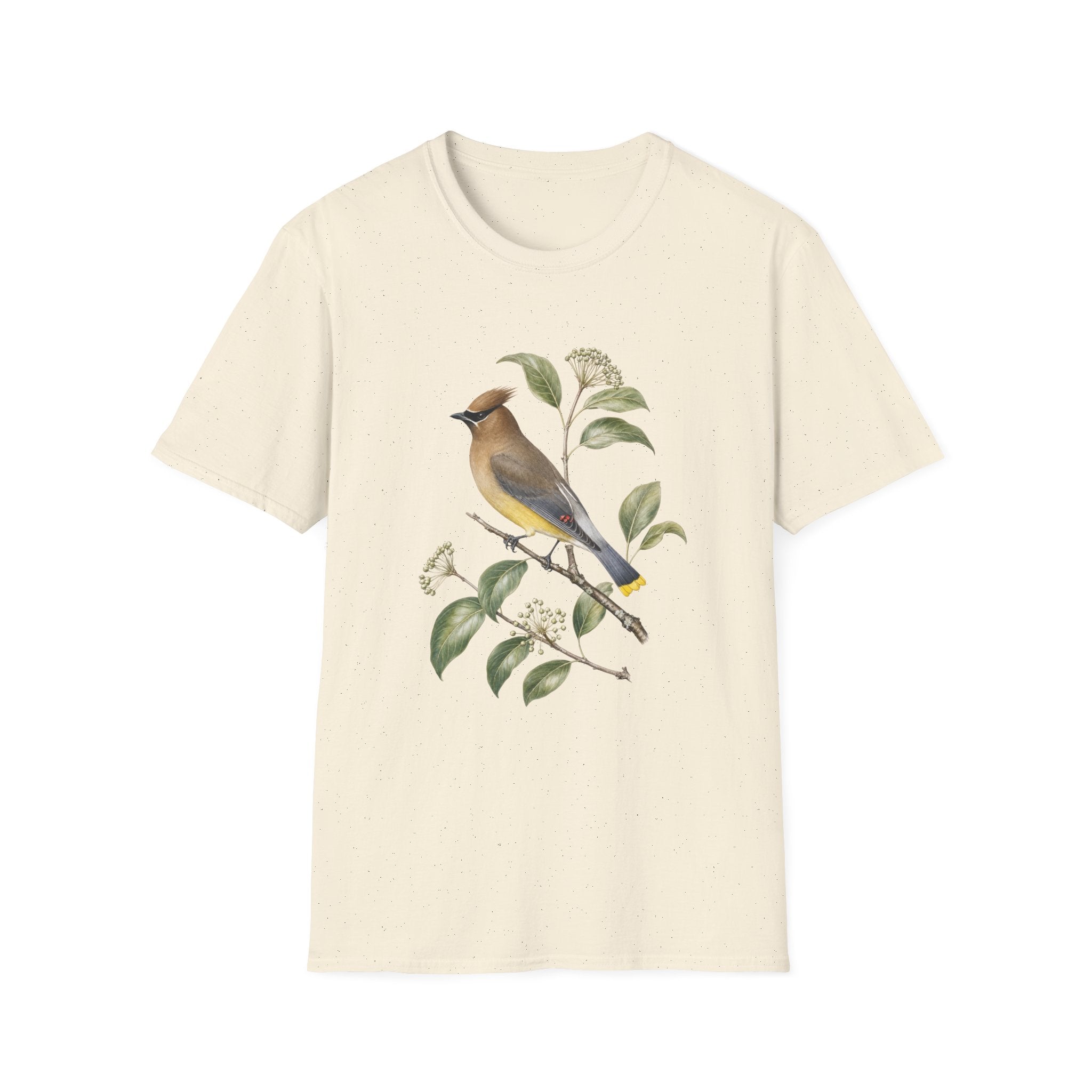 Little Birdie