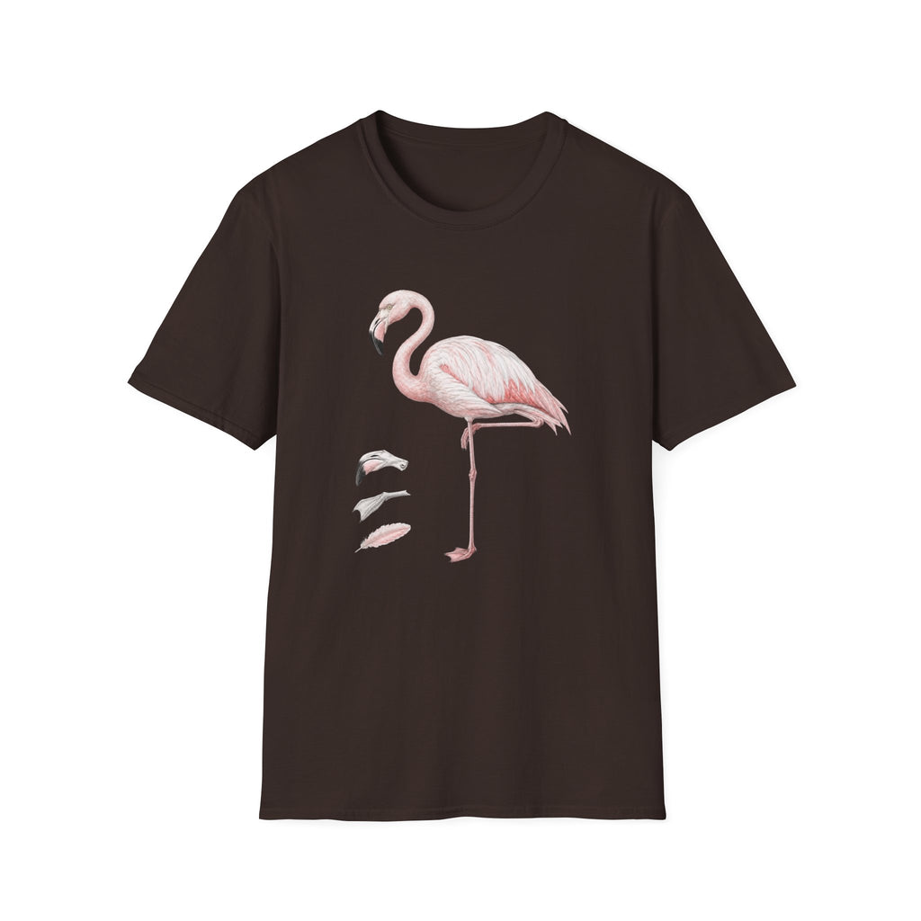 Flamingo Anatomy
