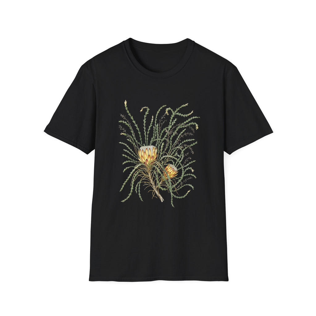 Field Protea
