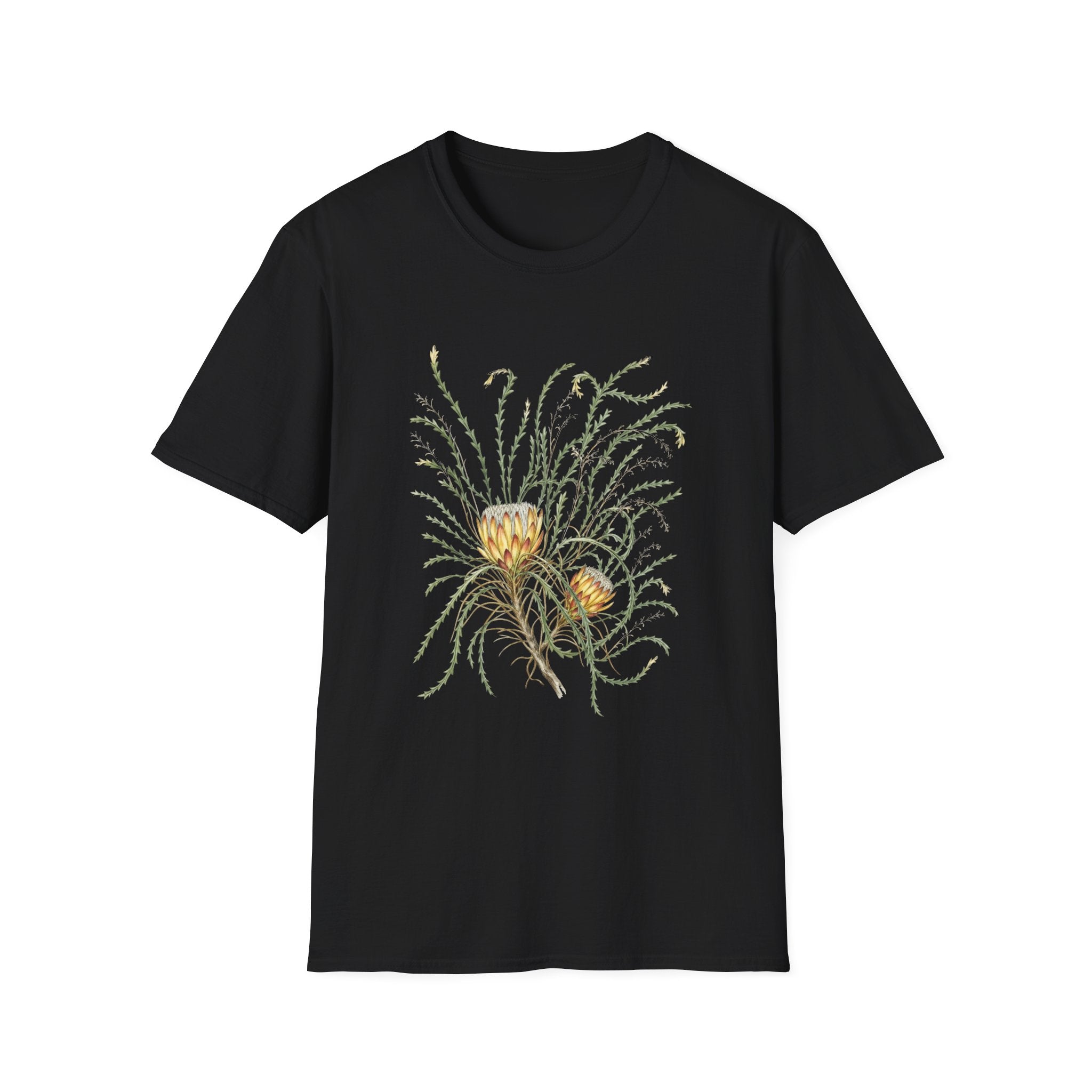 Field Protea