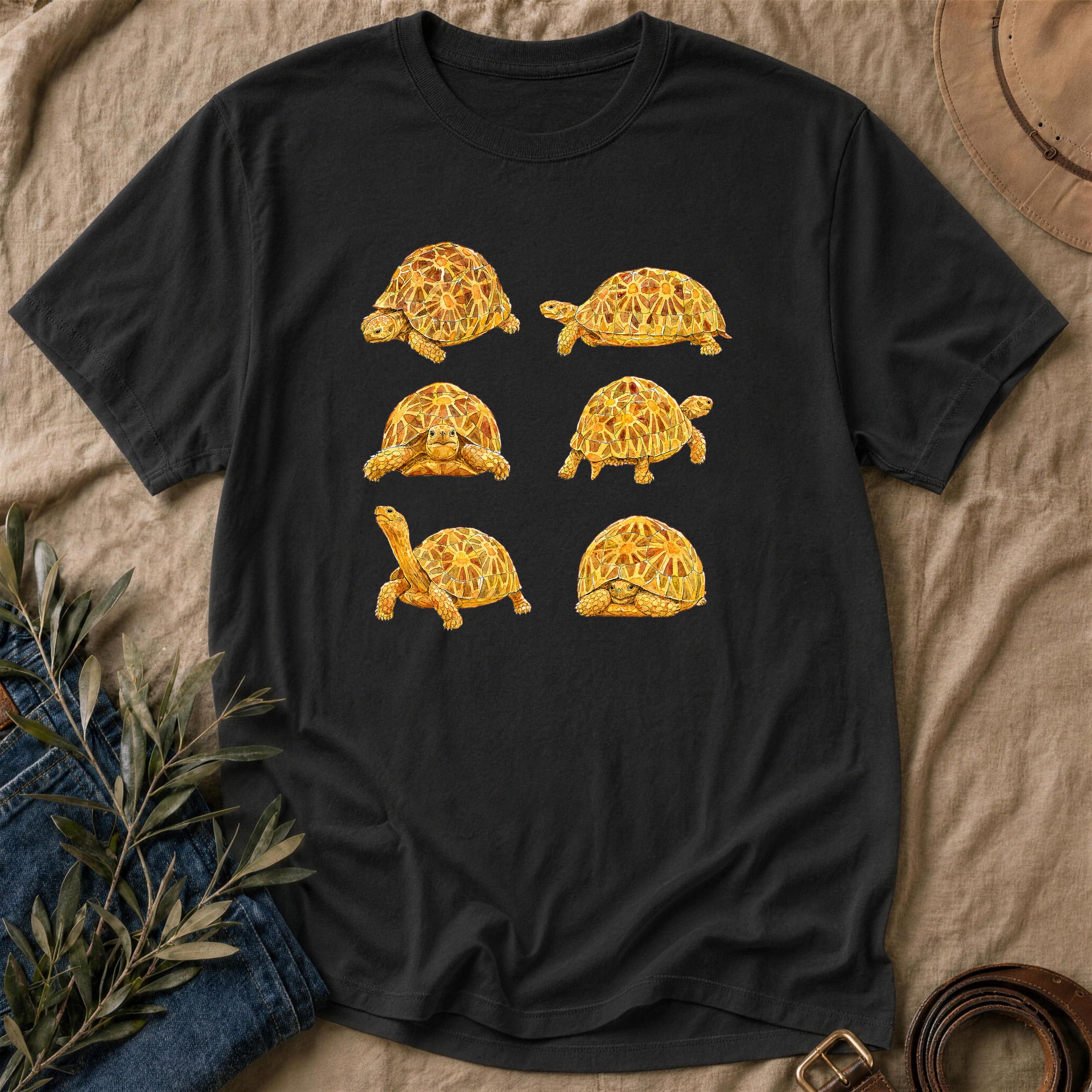 Shell Collection - Black